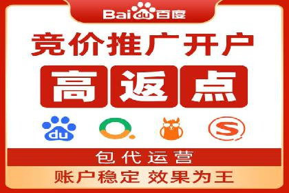 案例研究：百度竞价广告投放效果